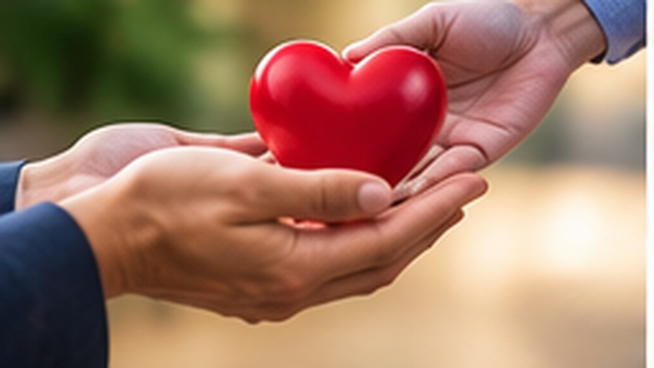 private donations: peer-to-peer lending